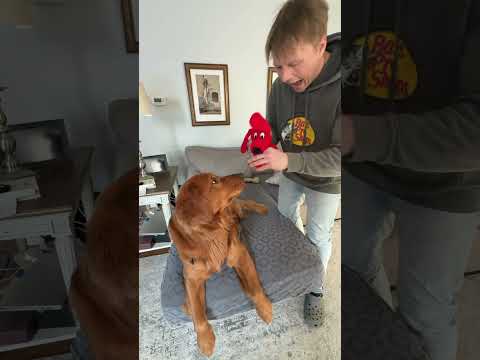 100% success rate ✅ サムネイル