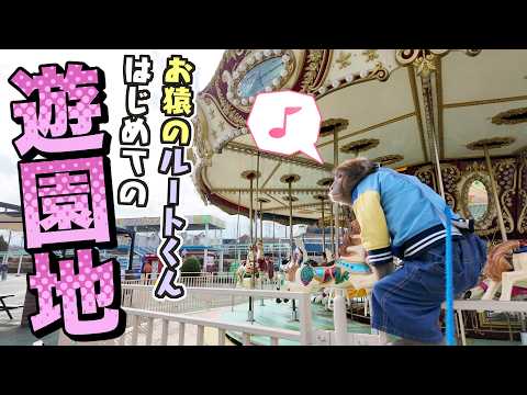 ずっと行きたかった遊園地！でも、はしゃぐお猿さんに悲しい事実が告げられました… サムネイル