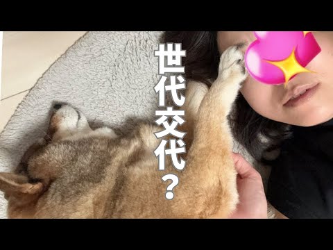 飼い主が不在？その時胡麻柴は・・・ サムネイル