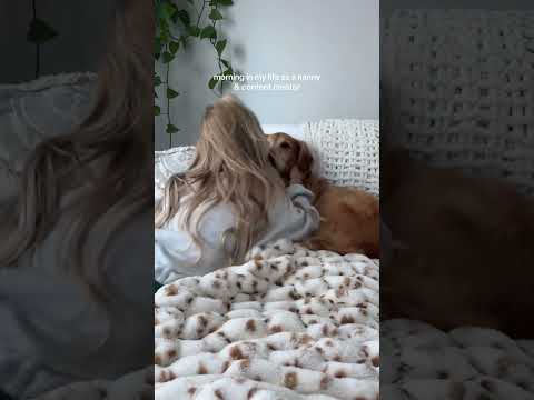 coming home to my golden retriever🥵goldenretreivers dog pup… サムネイル