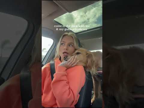 coming home to my golden retriever🥵 goldenretreiver dog ind… サムネイル
