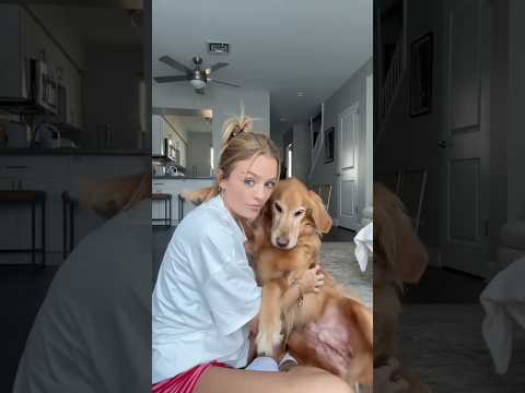 coming home to my golden retriever🥵 goldenretreiver dog ind… サムネイル