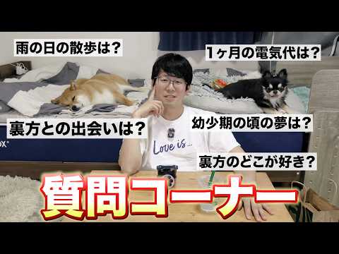 【質問】答えてたら恥ずかしくなってきた多頭飼いファミリーww サムネイル