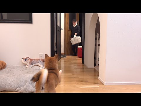 急遽病院へ行ってきました サムネイル