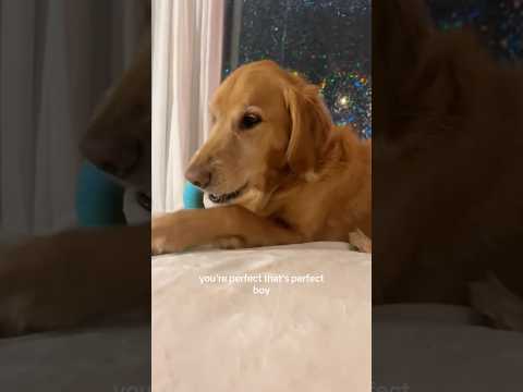 Bikini Try-On Haul :| 4K Transparent Lingerie & See-Through… サムネイル