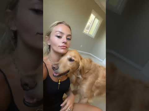coming home to my golden retriever❤️india retreiver dog pup… サムネイル