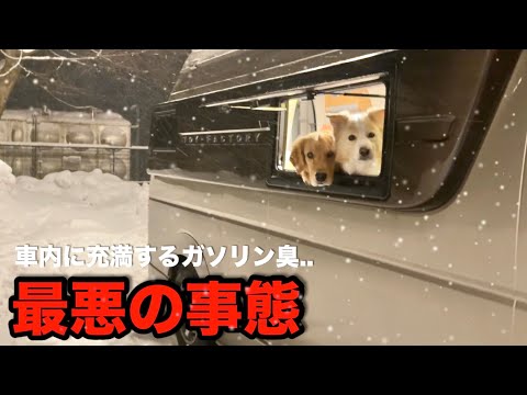 愛犬の命に関わる最悪のトラブル発生...猛吹雪の中帰宅することに…【ボーダーコリー・ゴールデンレトリバー】 サムネイル