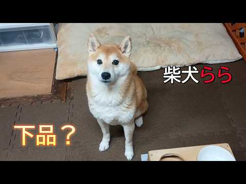 下品？ サムネイル
