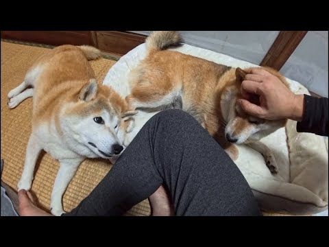 2025年12月20日(土) ヤキモチ焼きモモさんとニューベッドキャンセル界隈ココさん サムネイル