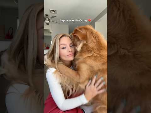 coming home to my golden retriever🥵goldenretreivers dog pup… サムネイル