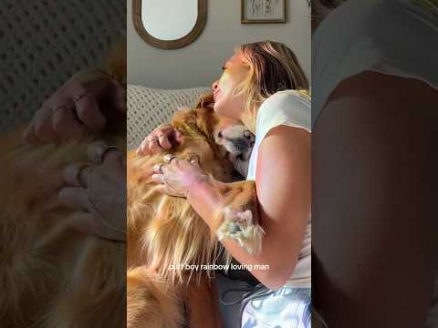 coming home to my golden retriever🥵goldenretreivers dog pup… サムネイル