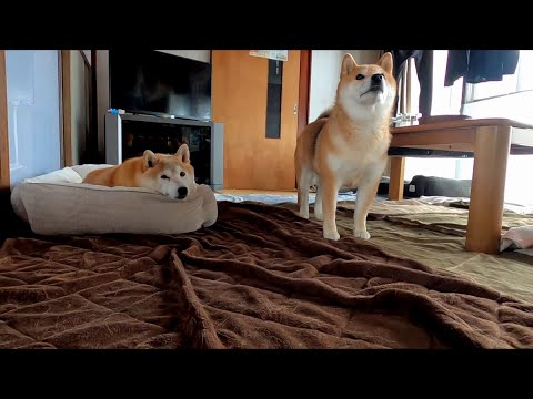 2026年2月3日(火) ベテラン刑事とルーキーのおやつの待ち方 サムネイル