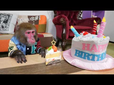 飼い主の誕生日ケーキをバレずに食べたいお猿さん、まさかの突破方法をくりだすww サムネイル
