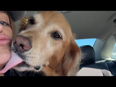 Bikini Try-On Haul :| 4K Transparent Lingerie & See-Through… サムネイル