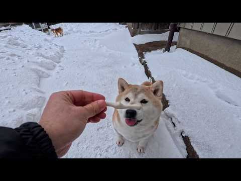親子でもずいぶん違うオヤツのこだわり サムネイル