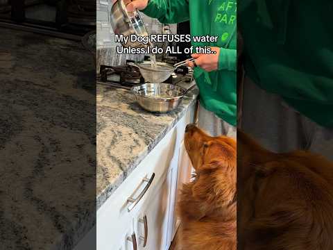 My puppy won't drink unless I do ALL of this in this EXACT… サムネイル