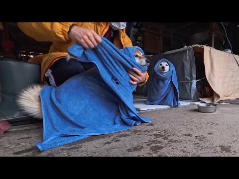 2026年1月3日(土) 令和の奇祭 巻き初め🎍 サムネイル