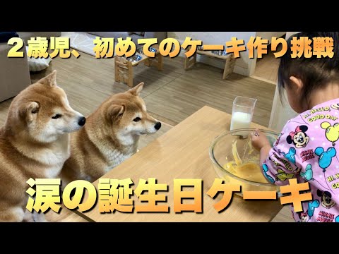 柴犬に見守られ初めてのケーキ作りに挑戦する２歳児。涙の理由とは… サムネイル