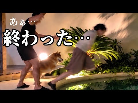 【許しません】連日豪雨の中、柴犬の一撃で冷たい水に突き落とされた結果…