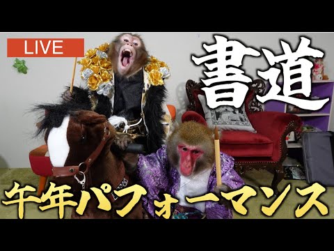 お猿さんがド派手に書道に挑戦する新春ライブ配信！ サムネイル