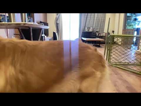 お家配信🏠 サムネイル