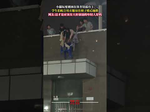 小貓玩耍被困在體育館露台上 學生們配合用衣服吊住椅子暖心施救 暖心 善良 正能量 kindness good hear… サムネイル