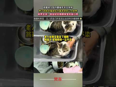 孤寡老人因為要做手術無奈將養了四年的貓放在外面尋求好心人收養 暖心 感動 善良 貓 正能量 kindness hear… サムネイル