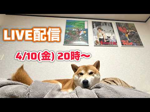 新生活調子どぉよ？ライブ配信！！ サムネイル