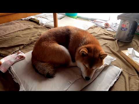 チョコ◯ァッション🍩 サムネイル