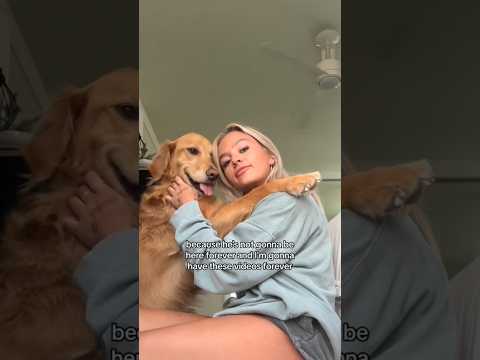 coming home to my golden retriever🥵 goldenretreiver dog ind… サムネイル