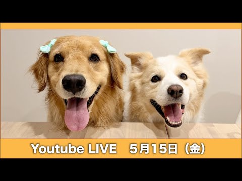 別居生活が終了しました🙋‍♀️✨