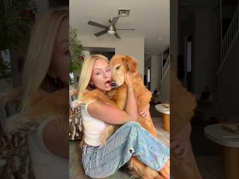 coming home to my golden retriever🥵 goldenretreiver dog ind… サムネイル
