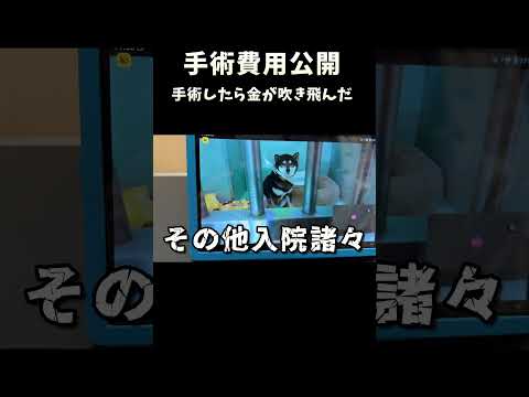 柴犬の手術費用がとんでもねぇ サムネイル