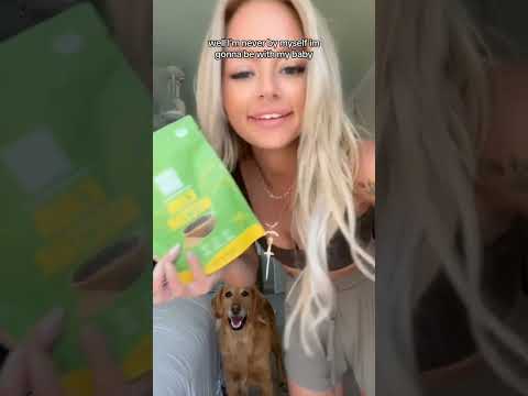 dog-tor coby to rescue🛟goldenpup puppy goldenpupppy dogbree… サムネイル