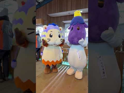 shorts カピナスちゃんとおいでナスくん　那須どうぶつ王国にて　2026年1月2日 サムネイル
