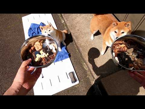 行儀良くお風呂出来ると貰える入浴特典 サムネイル