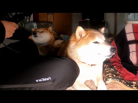 甘え初め🎎 サムネイル