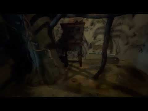 ビントロング　東山動植物園にて　2026年3月14日 サムネイル