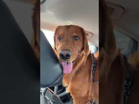 Do you think he'll be more grateful now? サムネイル