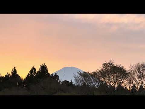 オレンジの雲と富士山と　足柄SA上り線にて　2026年4月5日