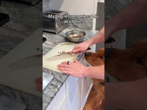 There’s gotta be an easier way 😭 サムネイル