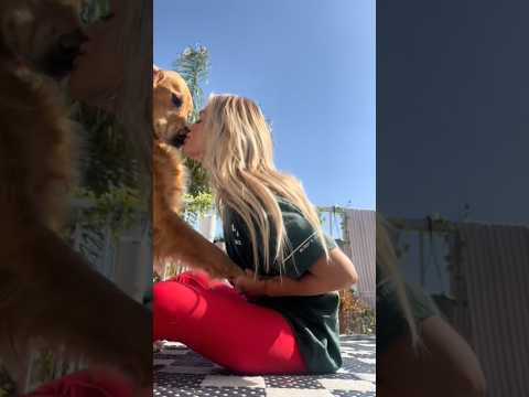 coming home to my golden retriever🥵 goldenretreiver dog ind… サムネイル