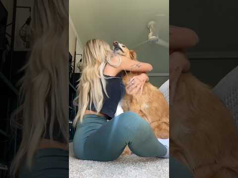 coming home to my golden retriever🥵 goldenretreiver dog ind… サムネイル