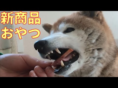 【1072】おやつ追加購入 サムネイル