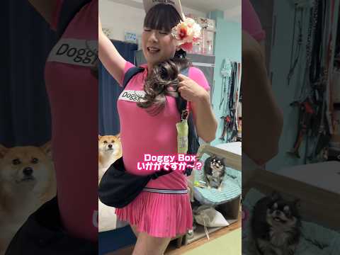 Doggy Boxみんなもチェックしてね！ pr