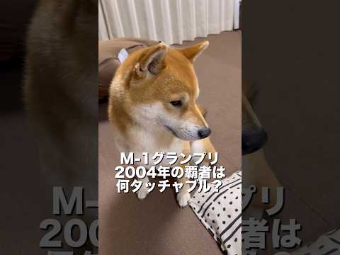 柴犬とん君、お笑いコンビ「アンタッチャブル」を答えられるのか？　柴犬　柴犬とん サムネイル
