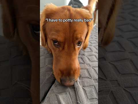 Currently Frozen.. please thaw me 🙏 サムネイル