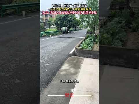 狗狗骨頭被偷走奔潰大叫 狗狗 意外 有趣 搞笑 dog amazing funny laugh shorts サムネイル