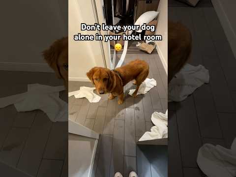 Banned for life? 😔 サムネイル