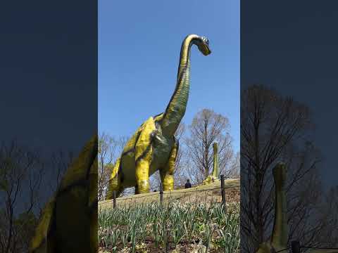 shorts 見つめ合う親子🦕　のんほいパークにて　2026年4月3日 サムネイル